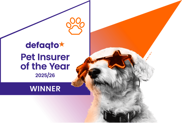 Website image Pet v2